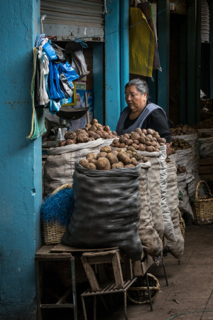 Vendeuse de patates Otavalo